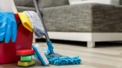 Professzionális feldolgozása apartmanok bolhából